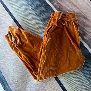 Honey Gold Fabletics Velour Tracksuit